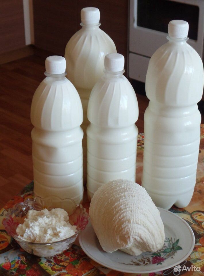 Домашние Молочные Продукты Фото