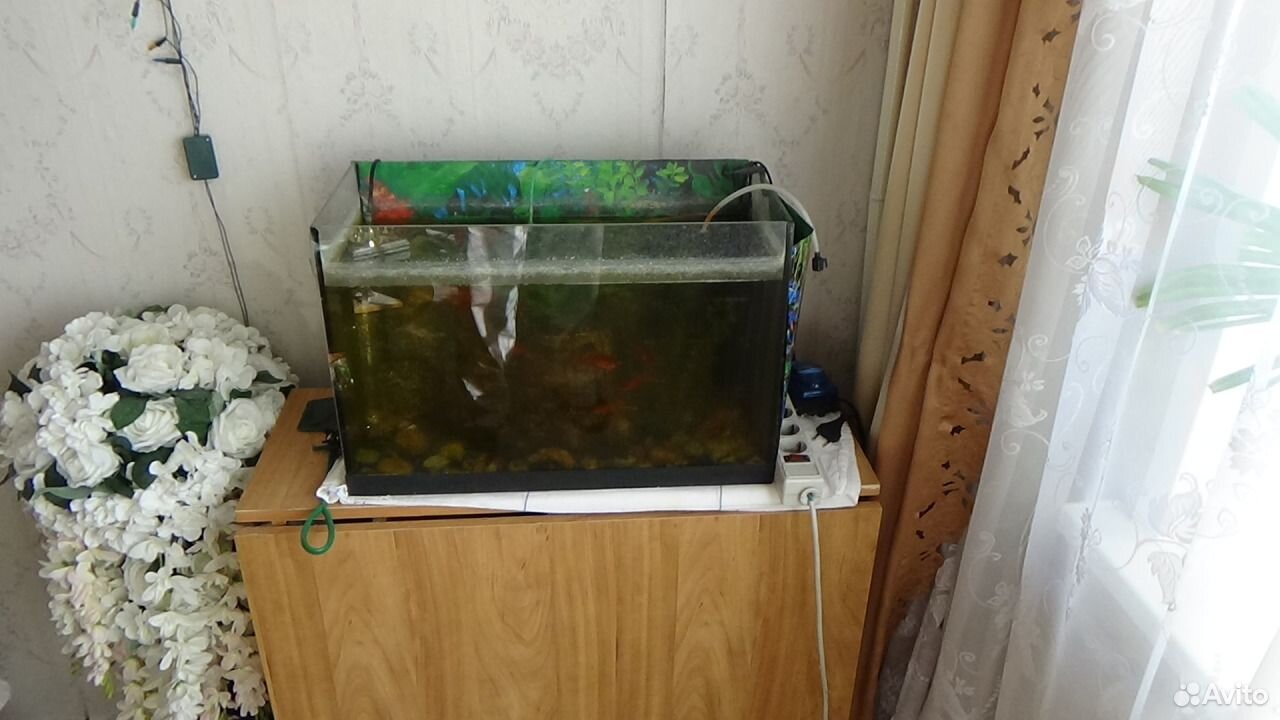 Аквариум с рыбками и всем содержимым (40 литров) купить на Зозу.ру - фотография № 3
