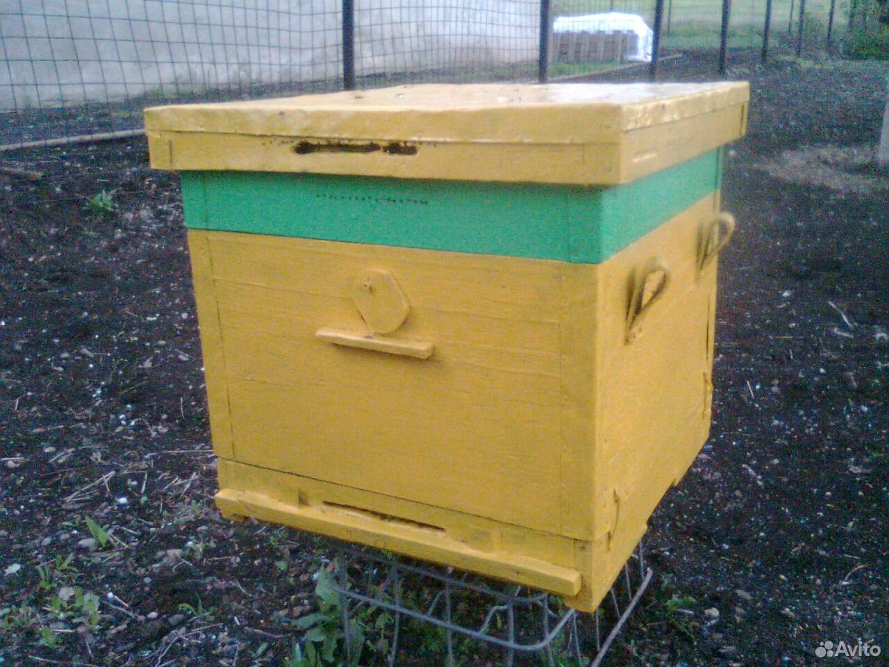 Пчелосемьи купить воронежская. Ульи для пчёл б у. Ульи ру. Улей для пчел из ПЭТ 30л. Авито ульи для пчел.