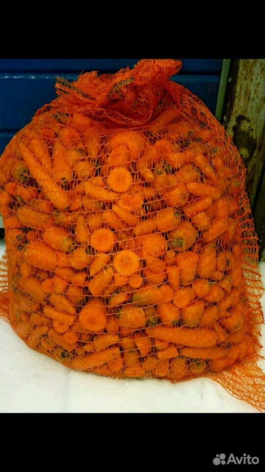 Морковь корм купить на Зозу.ру - фотография № 2