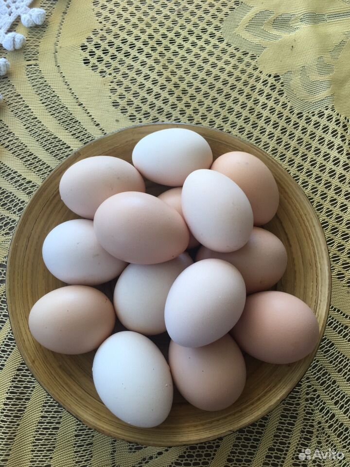 Яйцо куриное, домашнее купить на Зозу.ру - фотография № 2