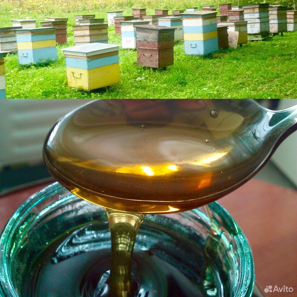Алтайский мёд (качка 2020) с личной пасеки купить на Зозу.ру - фотография № 2