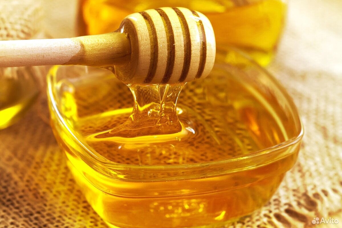 Свежий лесной мёд купить на Зозу.ру - фотография № 1