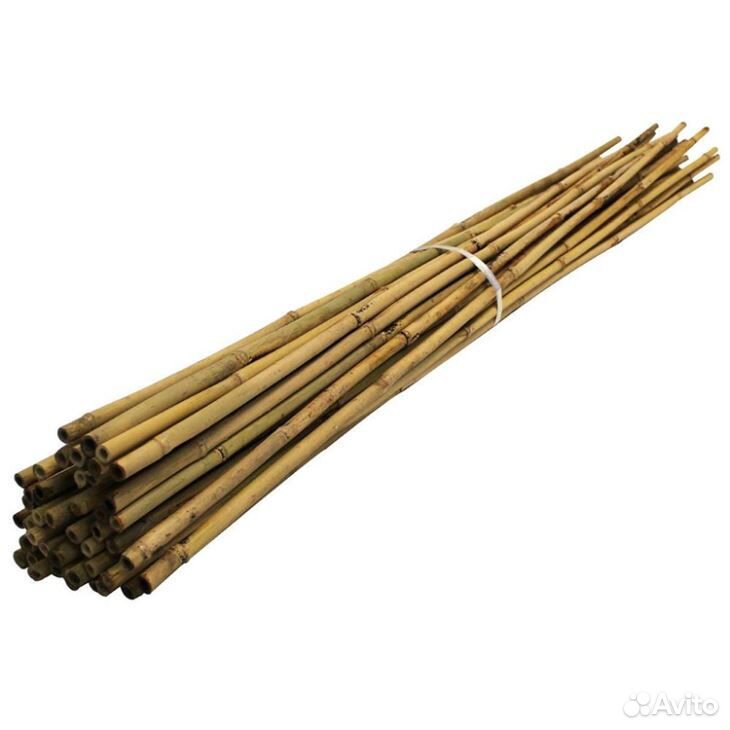 Бамбуковые поддержки, палки, опоры купить на Зозу.ру - фотография № 1