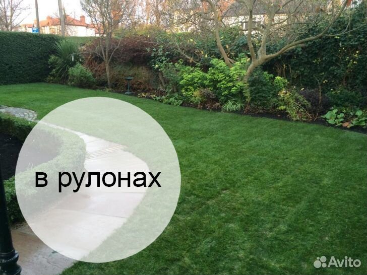 Люкс рулонный газон сезон 2020 мо купить на Зозу.ру - фотография № 1