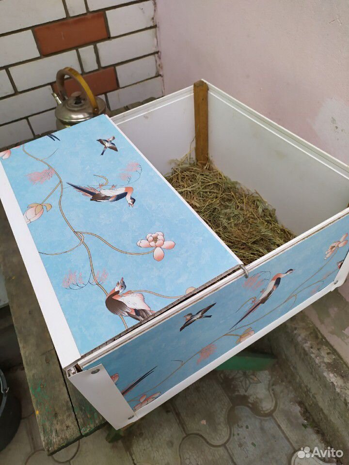 Ящик для цыплят купить на Зозу.ру - фотография № 2