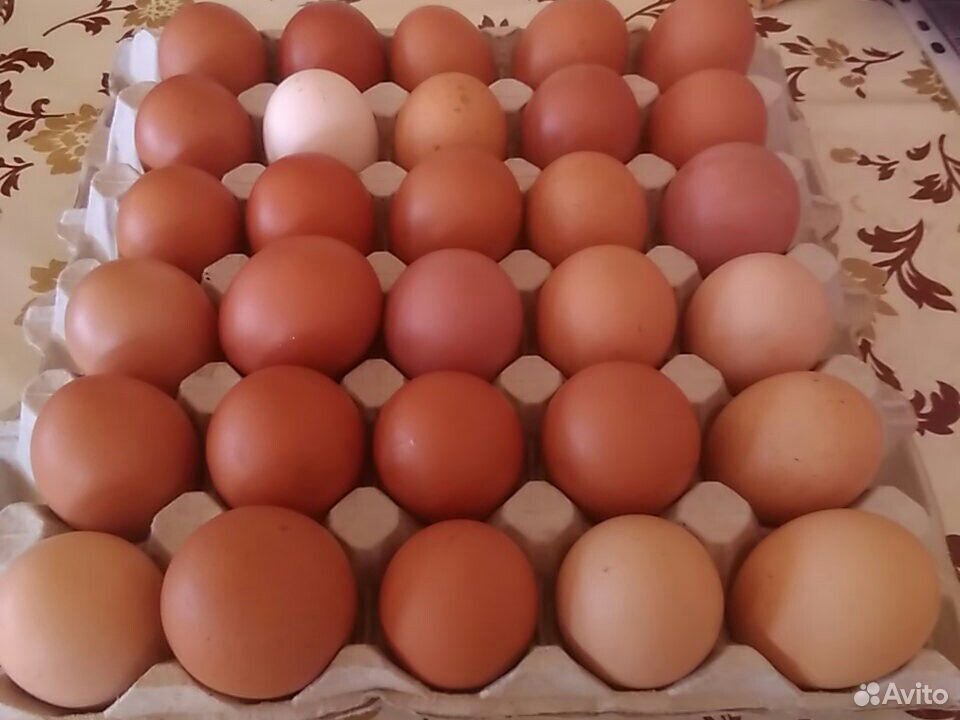 Яйцо домашнее, диетическое, первая и отборная кате купить на Зозу.ру - фотография № 1