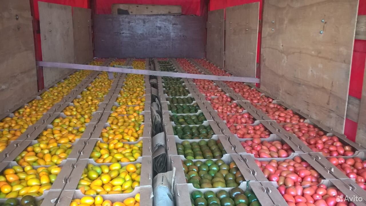 Томат помидоры Фермерская продукция купить на Зозу.ру - фотография № 2