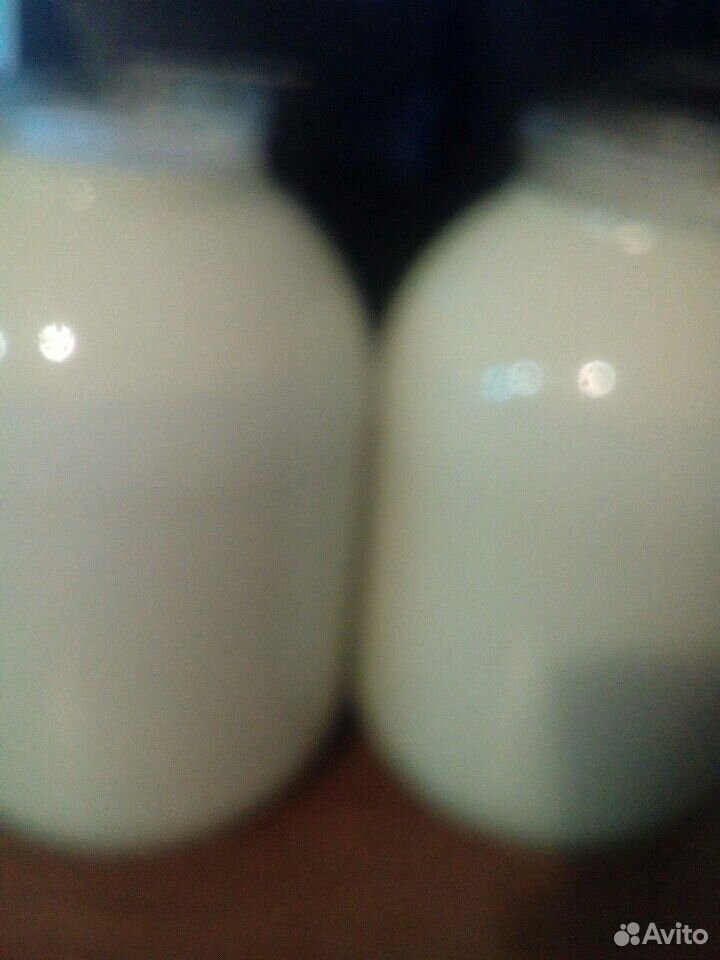 Домашние молоко купить на Зозу.ру - фотография № 1