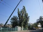 Спилим деревья любой сложности в Крыму объявление продам