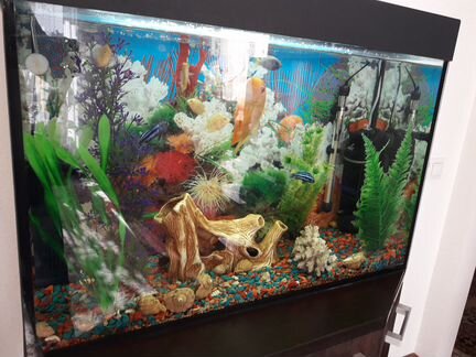 Продам оборудованный аквариум