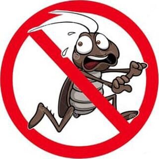Уничтожение насекомых :тараканов, клещей, клопов и