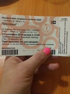 Билет в цирк(Иваново)