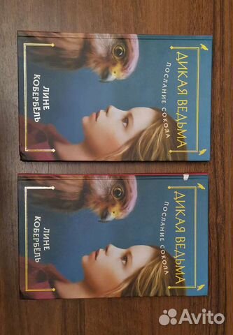 Книга Послание сокола