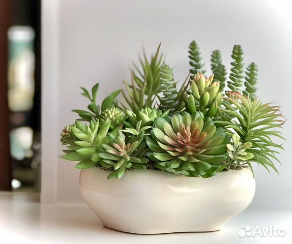 Суккуленты искусственные