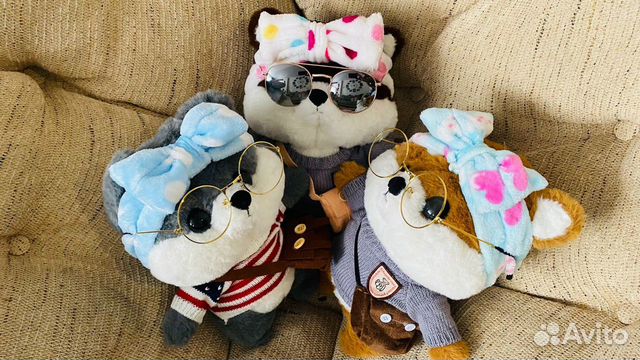 Собачка с очками lalafanfan