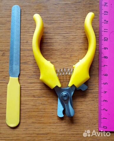 Намордники и ошейник