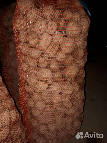 Продам семенной картофель