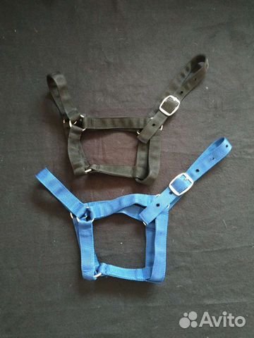 Амуниция для лошади и пони