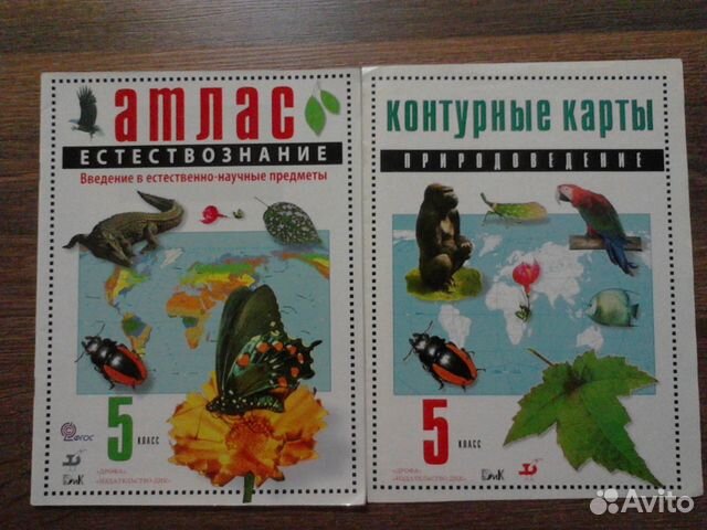 КОНТУРНЫЕ КАРТЫ ПО ПРИРОДОВЕДЕНИЮ 5 КЛАСС СКАЧАТЬ БЕСПЛАТНО КОНТУРНЫЕ КАРТЫ ПО ПРИРОДОВЕДЕНИЮ 5 КЛАСС СКАЧАТЬ БЕСПЛАТНО