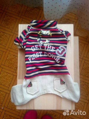 Костюмчик для собачки (31см)