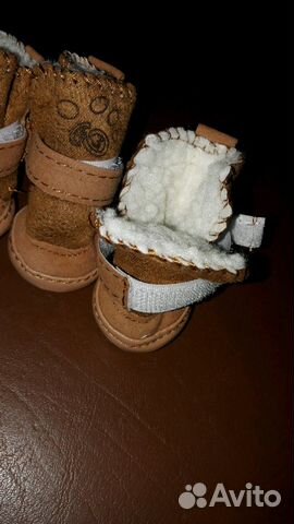 Ботинки, обувь для собаки