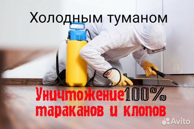 Мы травим качественно тараканов, клопов,муравьев Мы травим качественно тараканов, клопов,муравьев