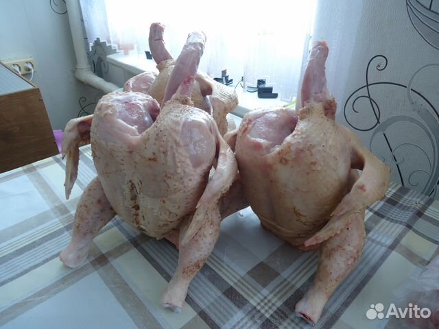 Продам мясо кур бройлера