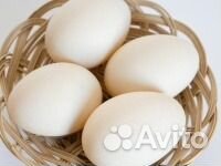Яйца индюшиные, утиные купить на Зозу.ру - фотография № 1