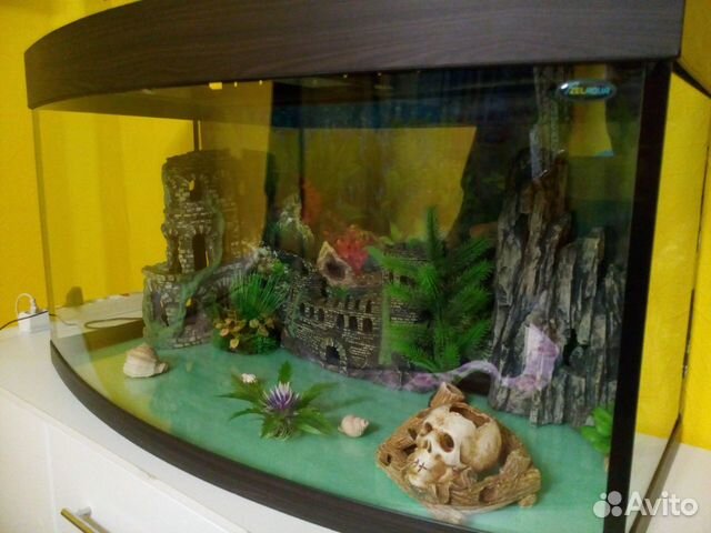 Полностью готовый аквариум купить на Зозу.ру - фотография № 4