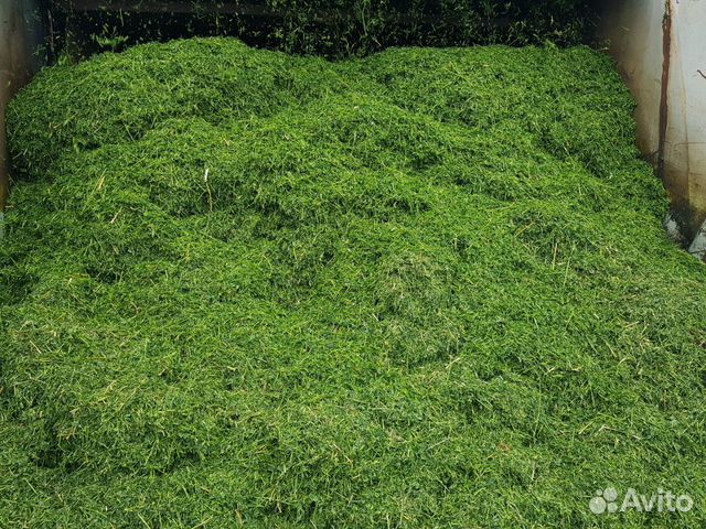 Травяная мука люцерны гранулированная (втм по гост купить на Зозу.ру - фотография № 5