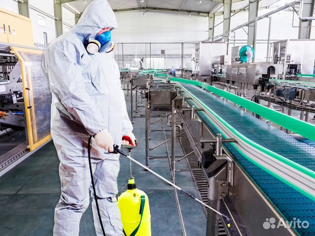 Травля и уничтожение любых насекомых Травля и уничтожение любых насекомых