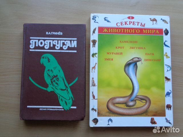 Новые о птицах, животн., природе + дошкольн. лит Новые о птицах, животн., природе + дошкольн. лит