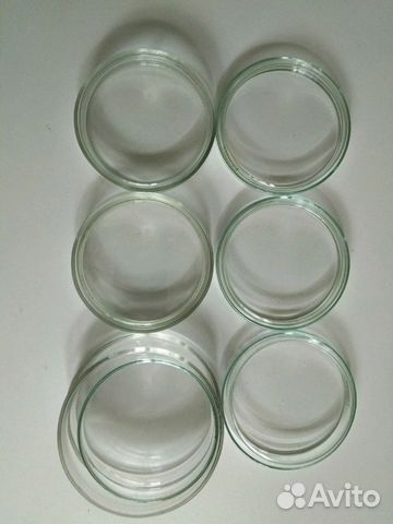 Чашки Петри