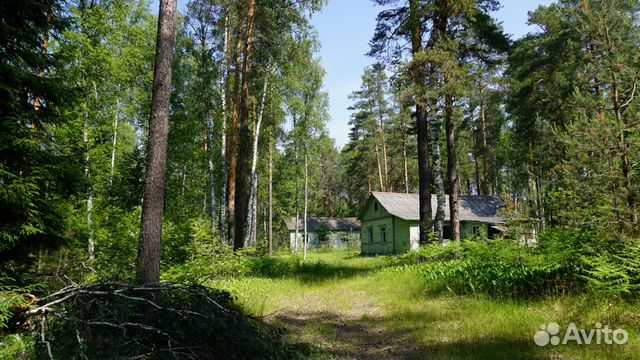 Помещение свободного назначения, 317 м²