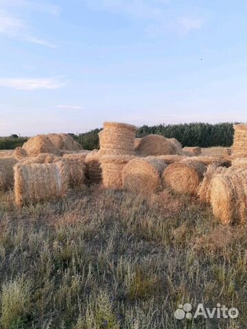 Пшеничная салома купить на Зозу.ру - фотография № 2