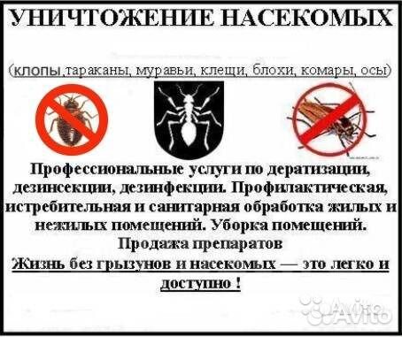 Уничтожение клопов и тараканов