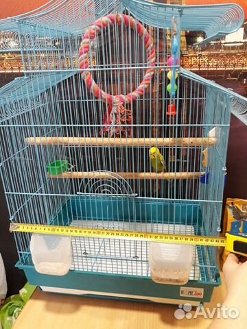 Волнистый попугай с клеткой купить на Зозу.ру - фотография № 5