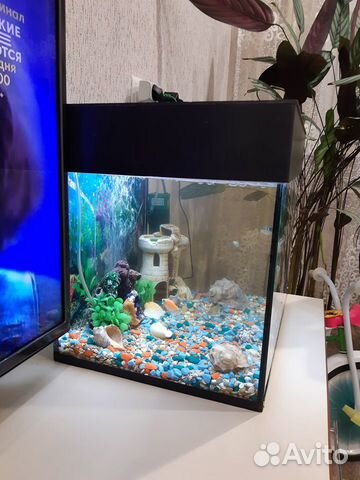Продаю аквариум 40 л в сборе купить на Зозу.ру - фотография № 1