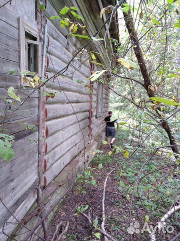 Сруб дома, бани