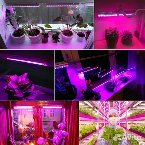 Фитолента 5 метров