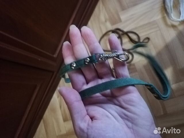 Проводки, шлейки для маленьких собак новые Проводки, шлейки для маленьких собак новые