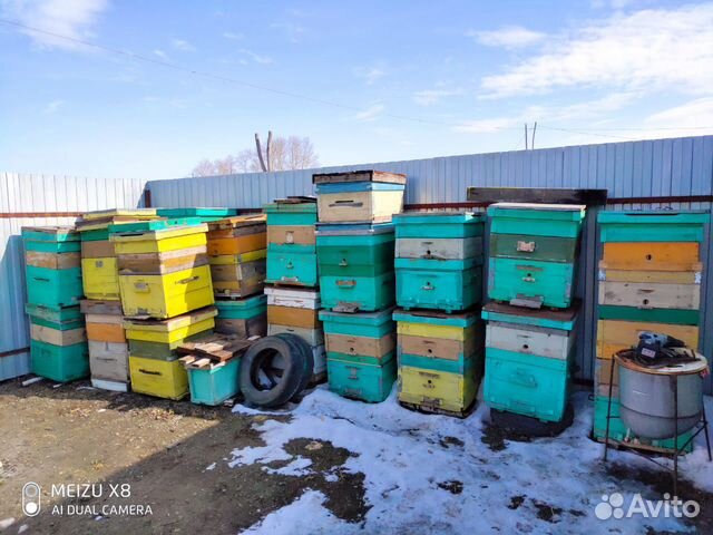 Улья для пчел купить на Зозу.ру - фотография № 2