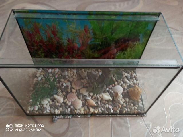 Отдекарированый аквариум с сачками для кормления и купить на Зозу.ру - фотография № 4