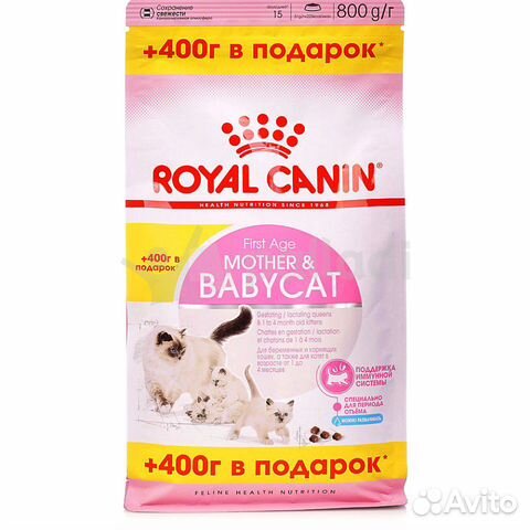 Корм для котят Корм для котят