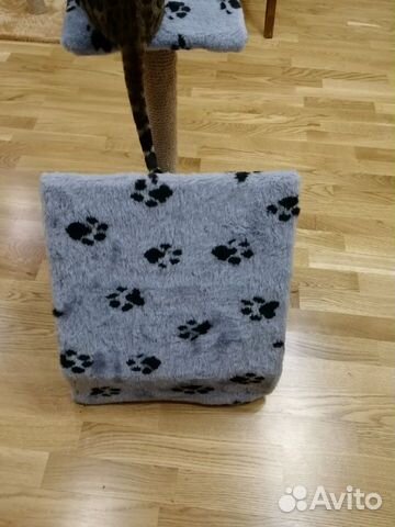 Когтеточка с домиком