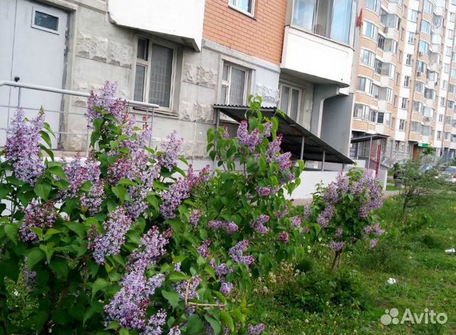 Студия, 18.9 м², 2/17 эт.