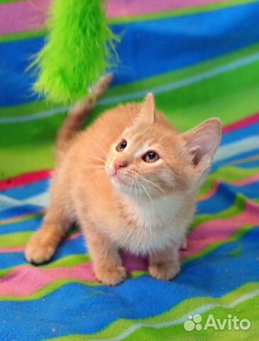 Смайлик - рыжий мальчуган Смайлик - рыжий мальчуган