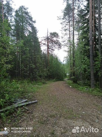 Коттедж 110 м² на участке 20 сот.