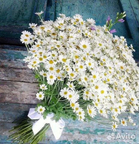 Букет из полевых ромашек Букет из полевых ромашек